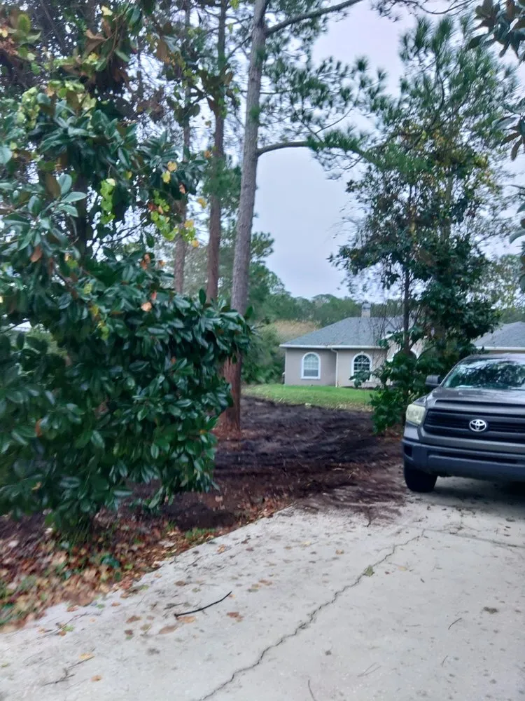 Local landscaping services experts serving St Augustine, FL - Bug's Tree Trimming & Land Clearing