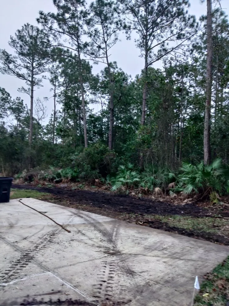 Affordable yard maintenance experts serving St Augustine, FL - Bug's Tree Trimming & Land Clearing
