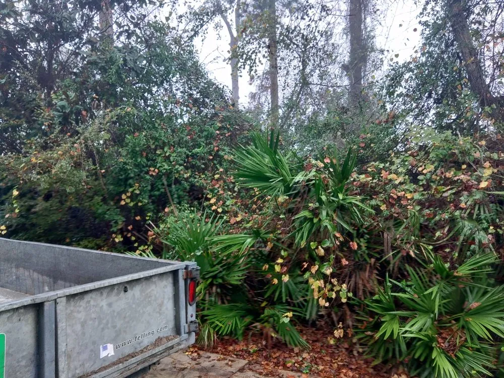 Expert yard maintenance in St Augustine, FL by Bug's Tree Trimming & Land Clearing