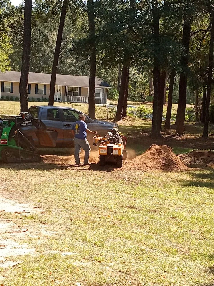 Trusted lawn care service in St Augustine, FL - Bug's Tree Trimming & Land Clearing