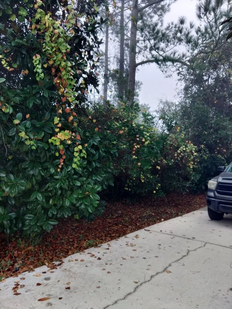 Top-rated garden landscaping in St Augustine, FL by Bug's Tree Trimming & Land Clearing