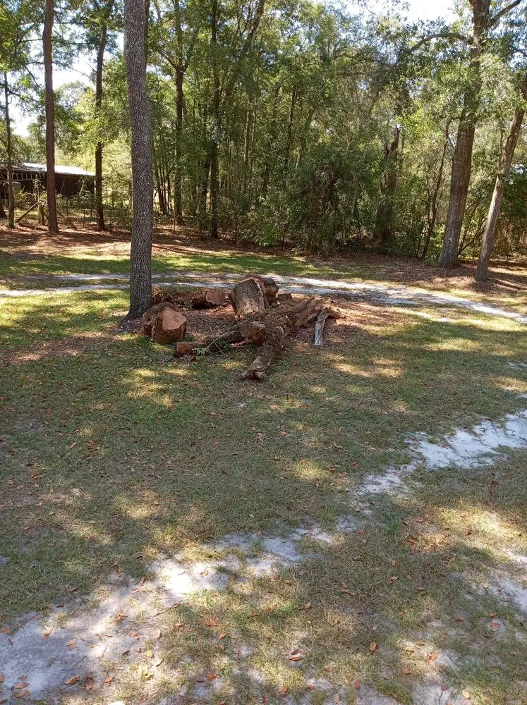 Affordable residential landscaping for beautiful yards in St Augustine, FL by Bug's Tree Trimming & Land Clearing