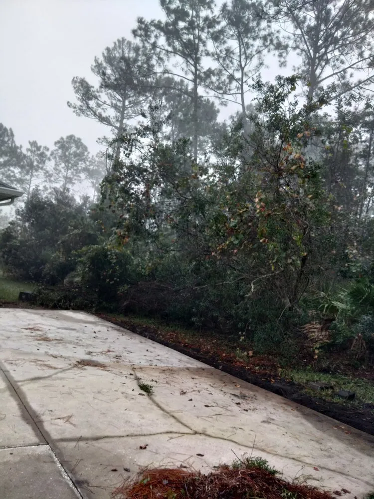 Reliable garden landscaping in St Augustine, FL - Bug's Tree Trimming & Land Clearing