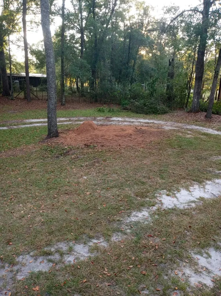 Reliable yard maintenance in St Augustine, FL - Bug's Tree Trimming & Land Clearing