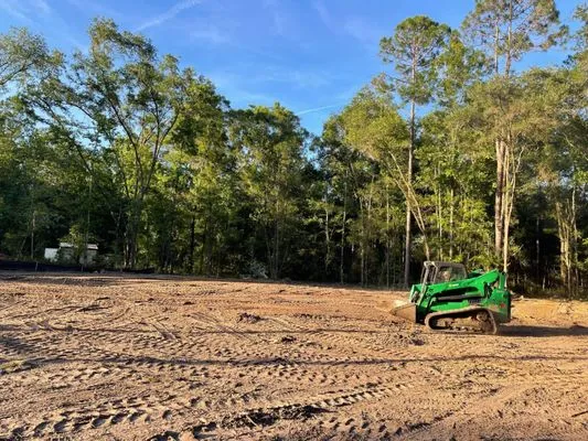 Bug's Tree Trimming & Land Clearing Logo