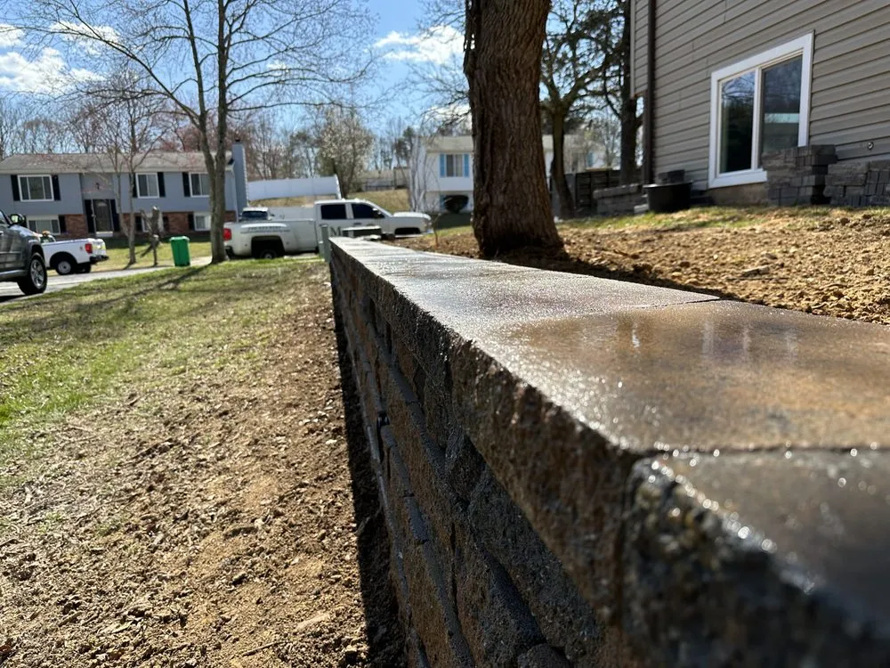 Top-rated yard cleanup service in Saint Charles, MD by Buho