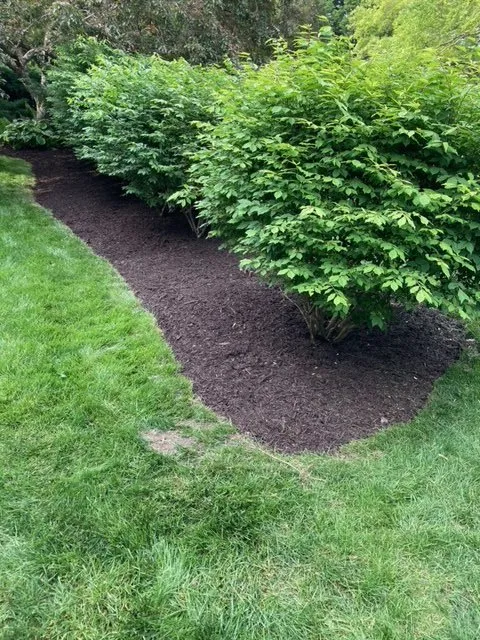 Local residential landscaping for residential properties across Bellevue, NE - Buhrs Lawn Specialist and More