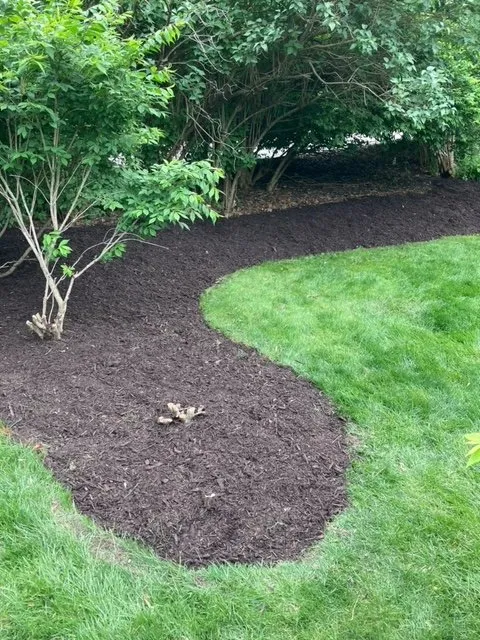 Top-rated yard cleanup service in Bellevue, NE - Buhrs Lawn Specialist and More