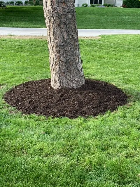 Local landscape design for beautiful yards across Bellevue, NE - Buhrs Lawn Specialist and More