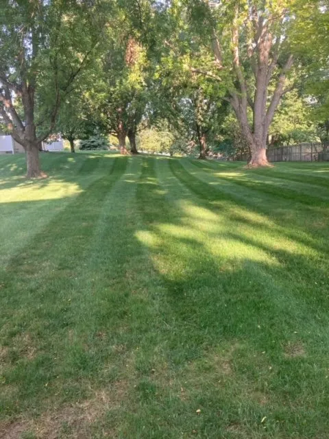 Local yard cleanup service with custom design across Bellevue, NE - Buhrs Lawn Specialist and More