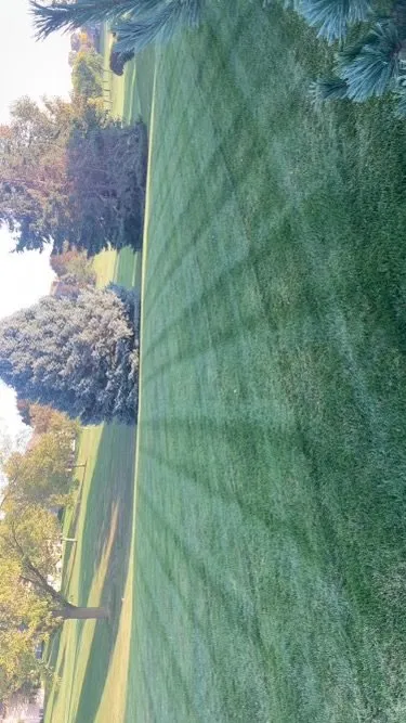 Top-rated landscaping services in Bellevue, NE - Buhrs Lawn Specialist and More