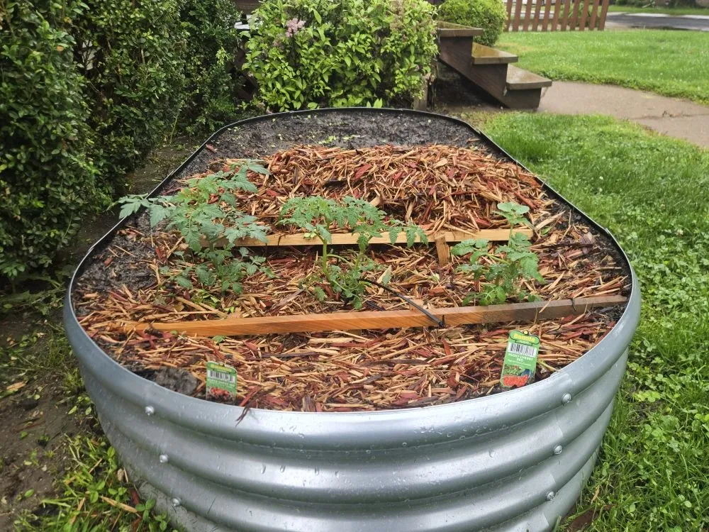 Reliable outdoor landscaping experts serving Peoria, IL - Buhs Brothers