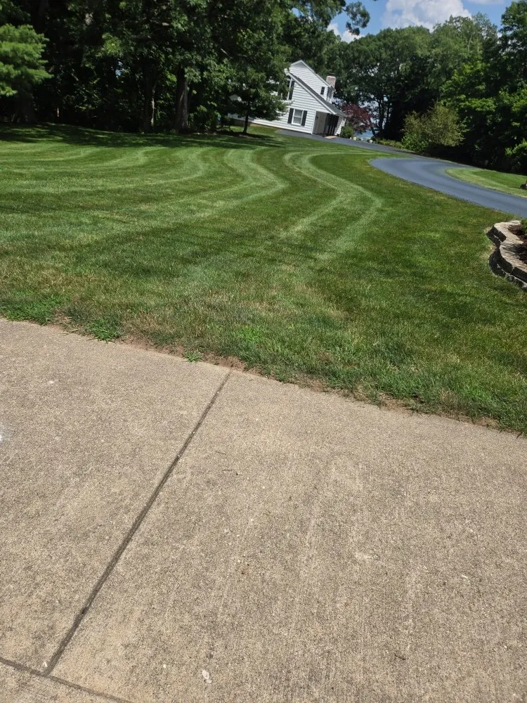 Affordable lawn care service in Peoria, IL by Buhs Brothers