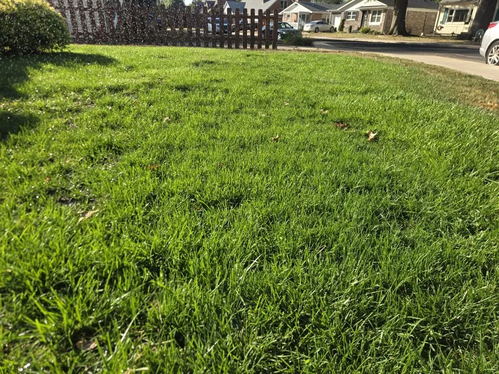 Local lawn mowing service for outdoor upgrades in Peoria, IL by Buhs Brothers