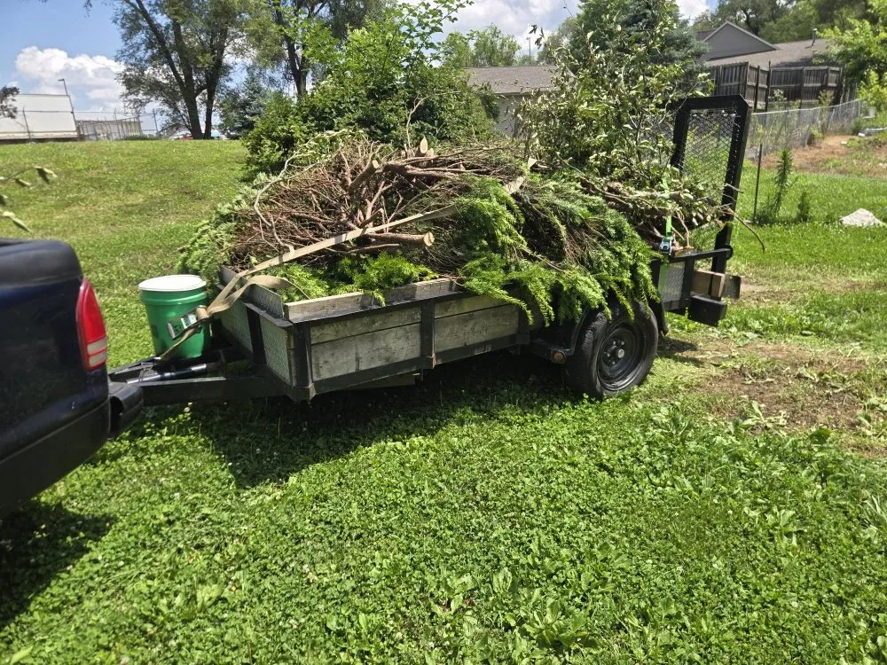Reliable landscaping services for outdoor upgrades across Peoria, IL - Buhs Brothers