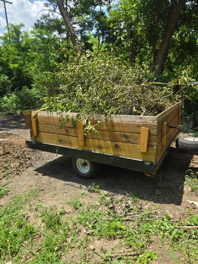 Reliable landscaping services in Peoria, IL by Buhs Brothers