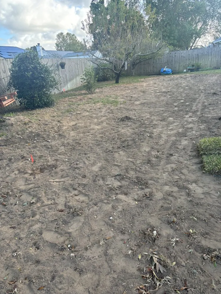 Reliable yard maintenance near you across Crestview, AR - Build & Beyond