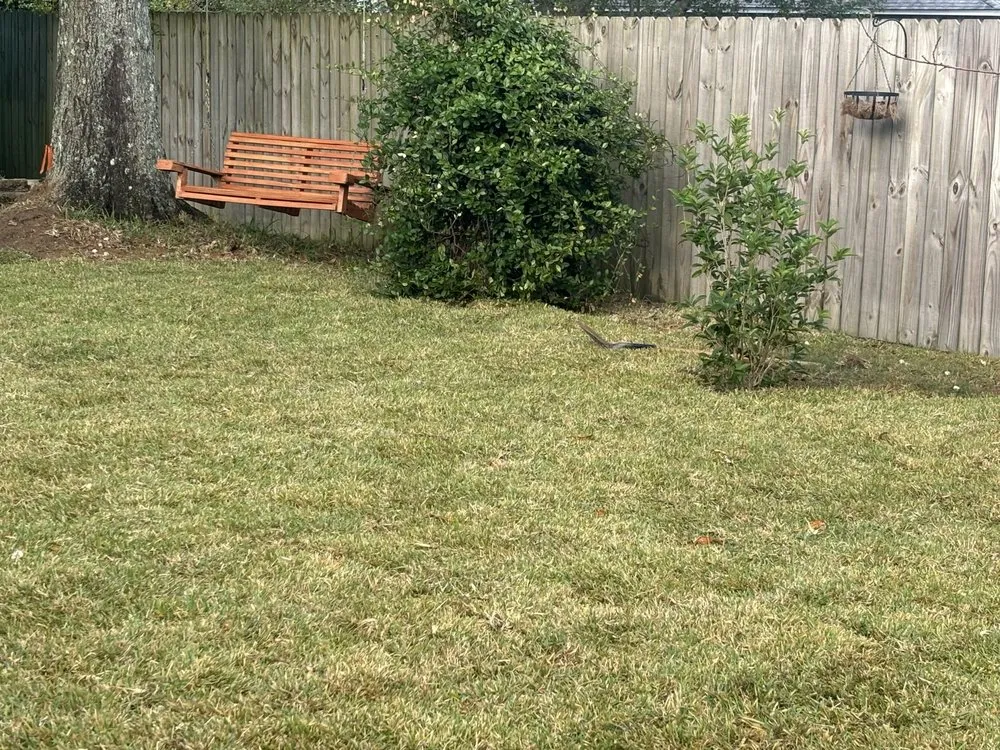 Affordable outdoor landscaping in Crestview, AR - Build & Beyond
