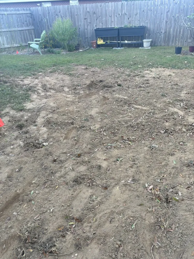 Professional lawn care service experts serving Crestview, AR - Build & Beyond
