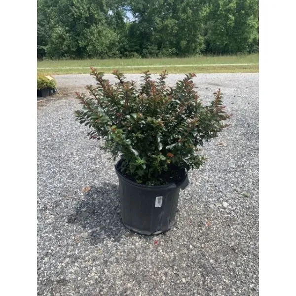 Custom yard cleanup service for outdoor upgrades across Midland, MI - Build-A-Brick Stone Hardscape