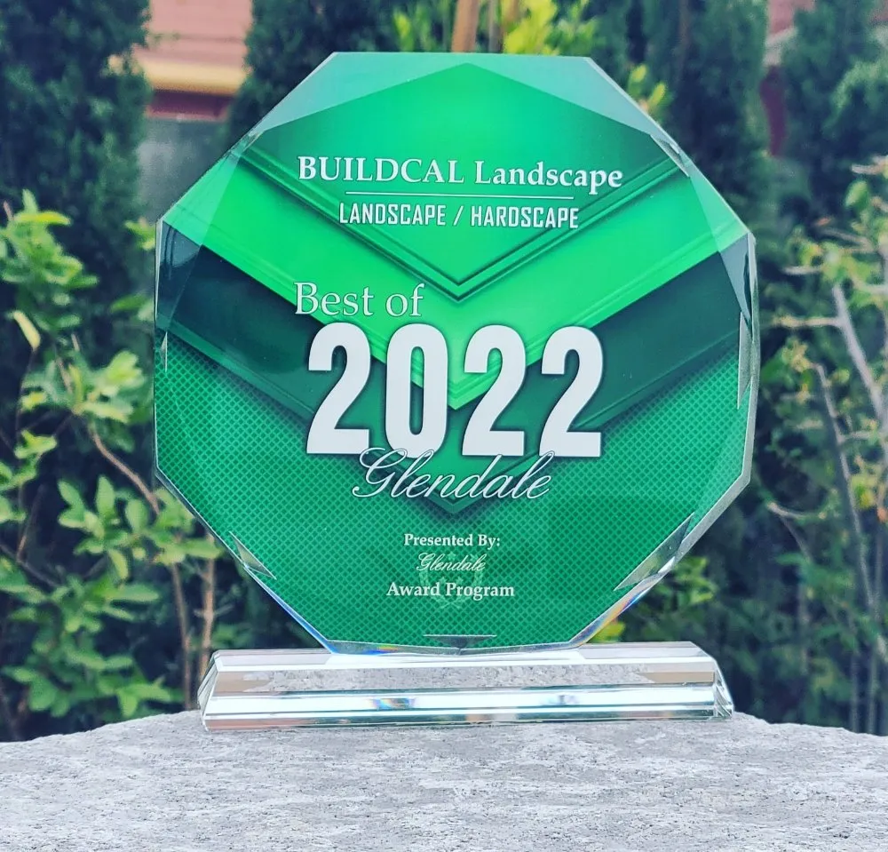 Professional landscape installation in Glendale, CA by Buildcal Landscape