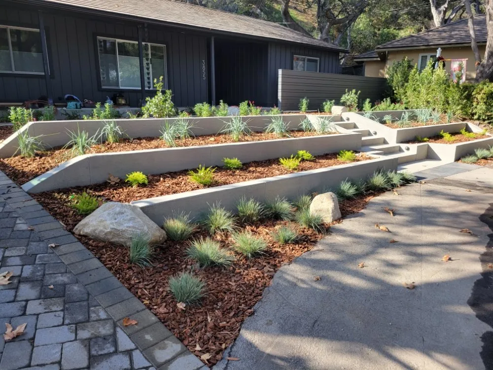 Affordable yard maintenance for residential properties in Glendale, CA by Buildcal Landscape