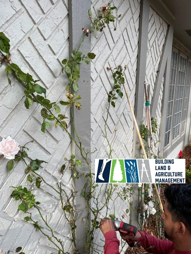 Local yard cleanup service for residential properties across Helena, AL - Building Land & Agriculture Management