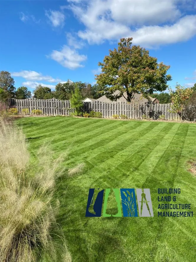 Custom yard cleanup service in Helena, AL by Building Land & Agriculture Management