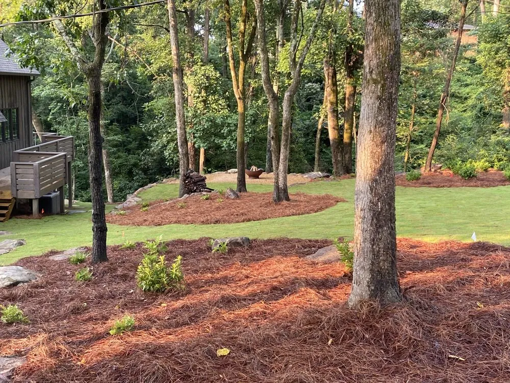 Top-rated yard cleanup service for homes in Helena, AL by Building Land & Agriculture Management