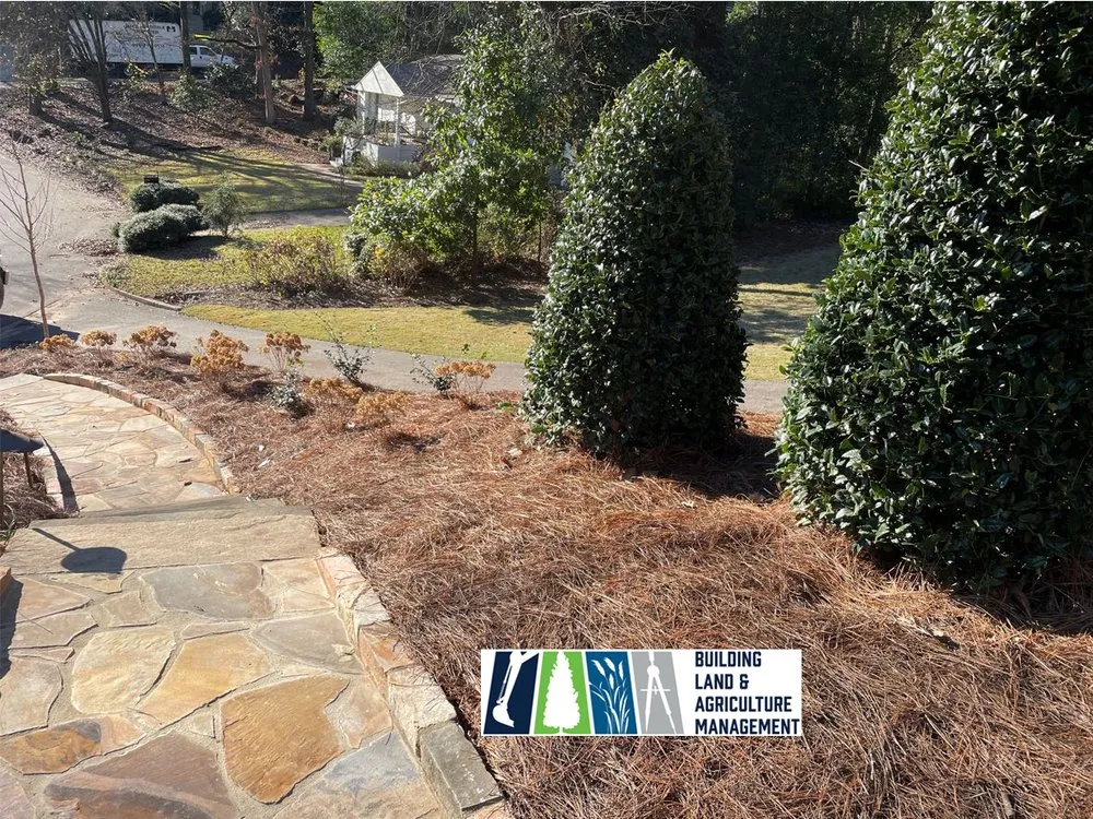 Custom lawn care service in Helena, AL - Building Land & Agriculture Management