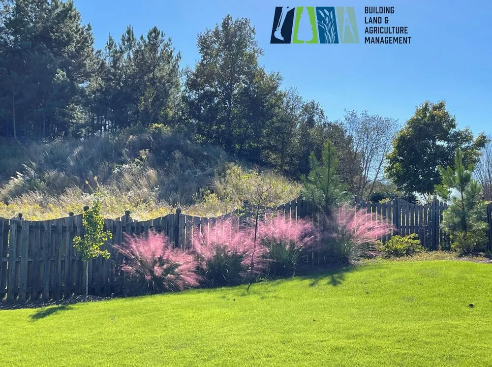 Affordable landscaping services for residential properties across Helena, AL - Building Land & Agriculture Management