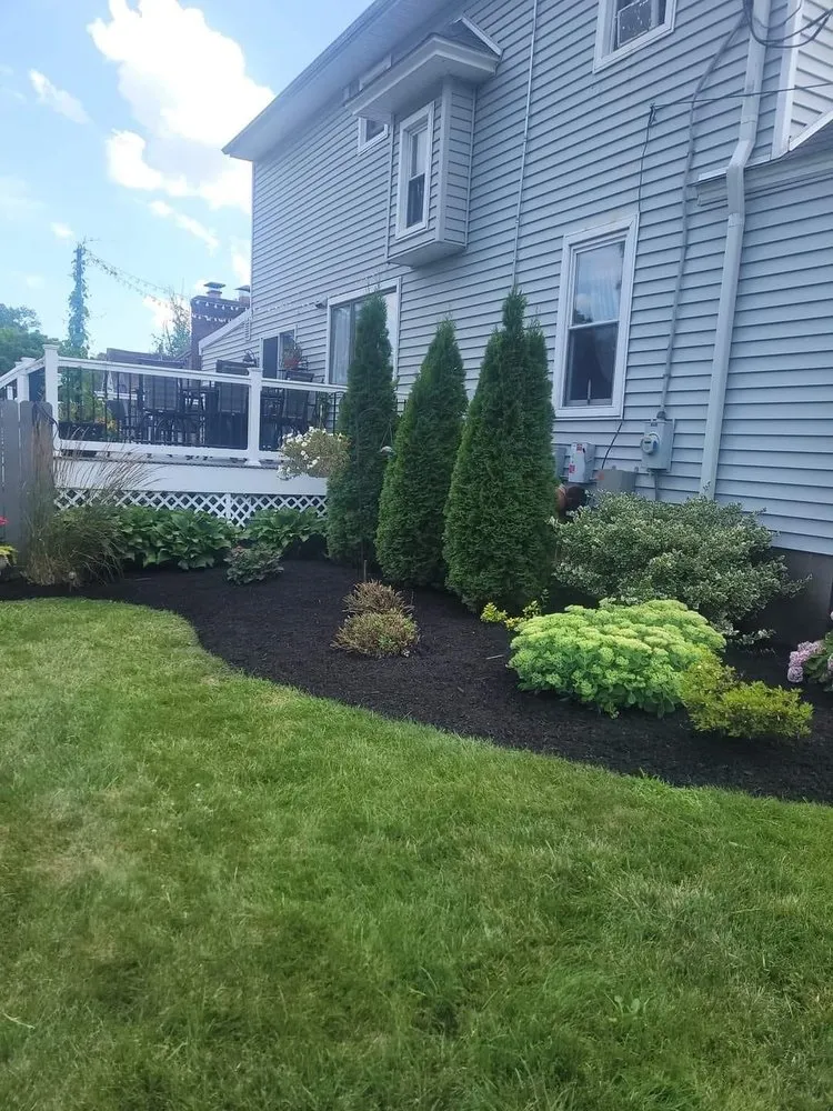 Custom yard cleanup service experts serving Cherry Hill, NJ - Building Maintenance Services