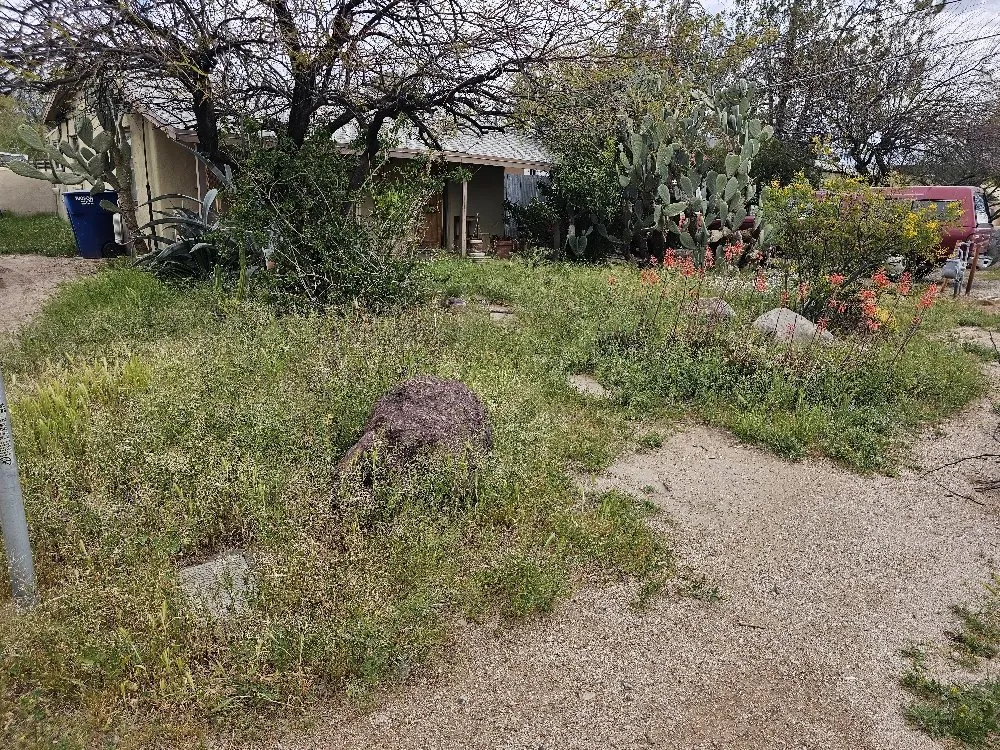 Professional residential landscaping experts serving Tucson, AZ - Building New Futures