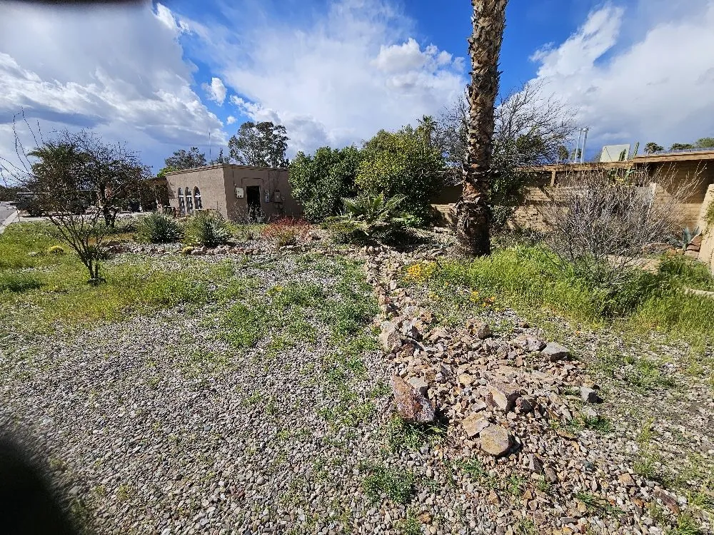 Reliable outdoor landscaping in Tucson, AZ by Building New Futures