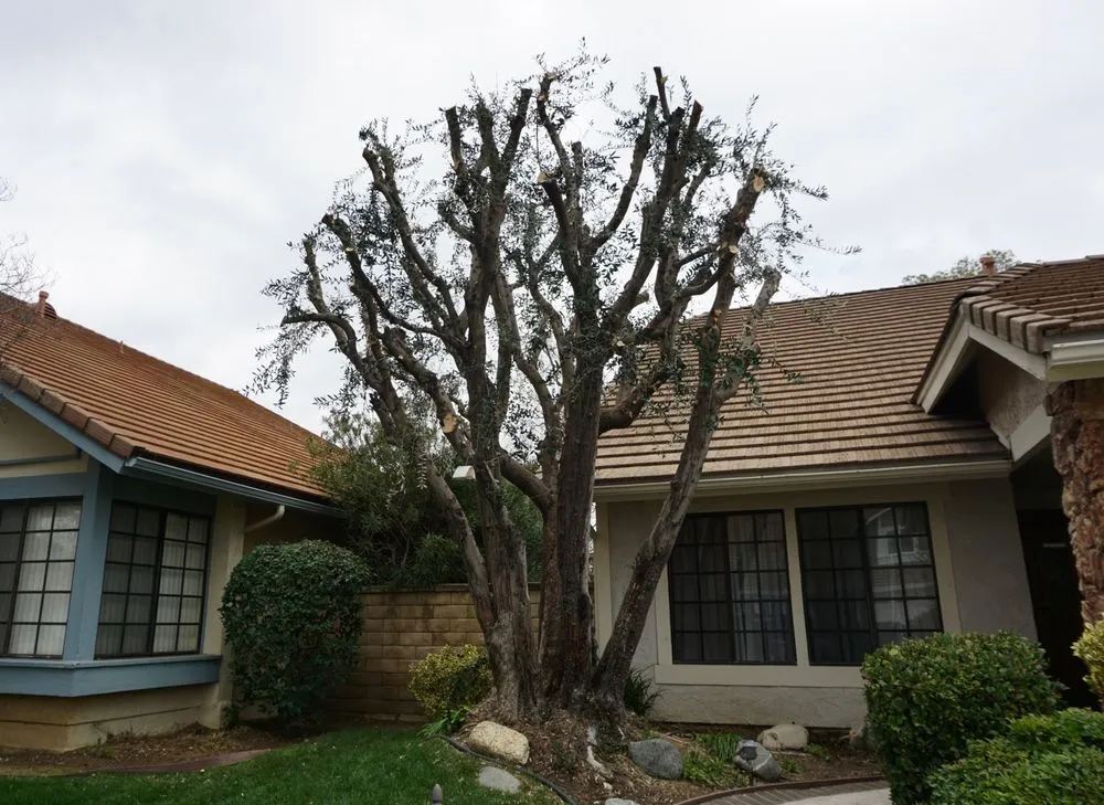 Custom garden landscaping in Santa Clarita, CA by Built Green Landscaping