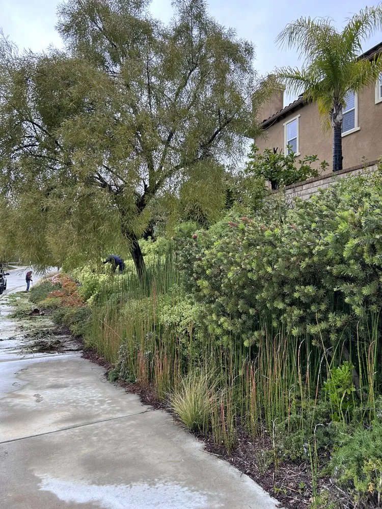 Affordable lawn care service in Santa Clarita, CA - Built Green Landscaping