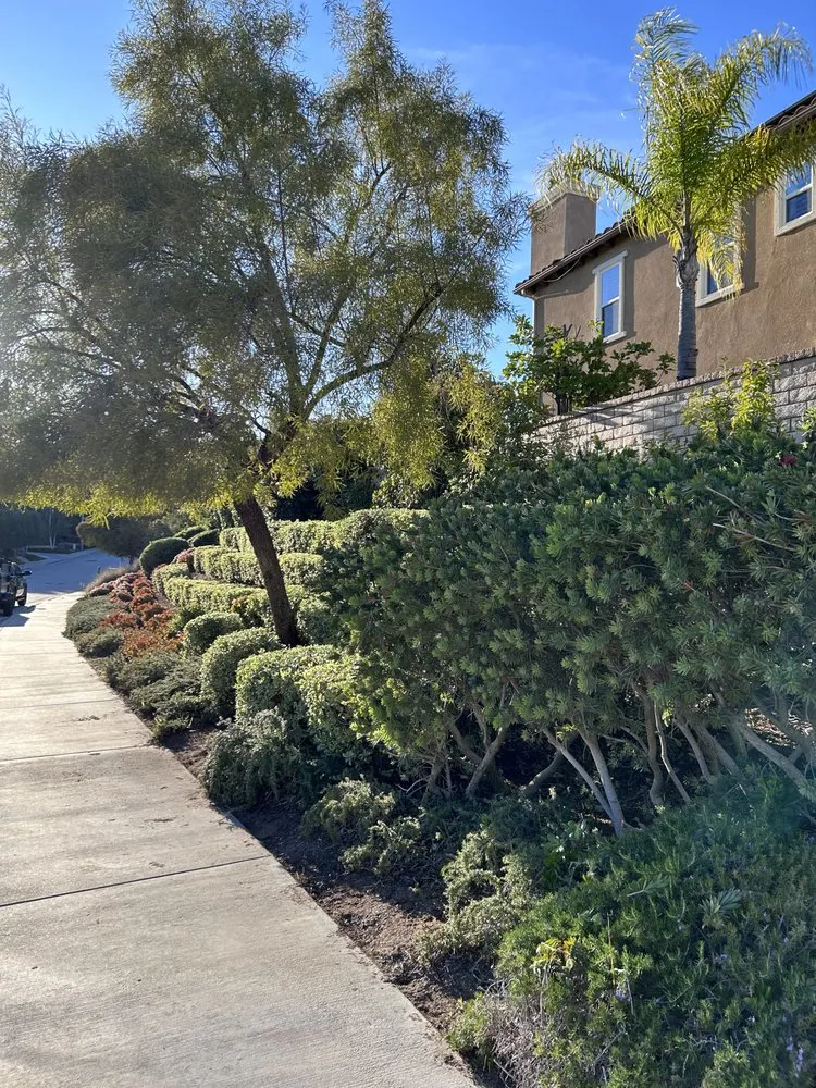 Expert landscape design in Santa Clarita, CA - Built Green Landscaping