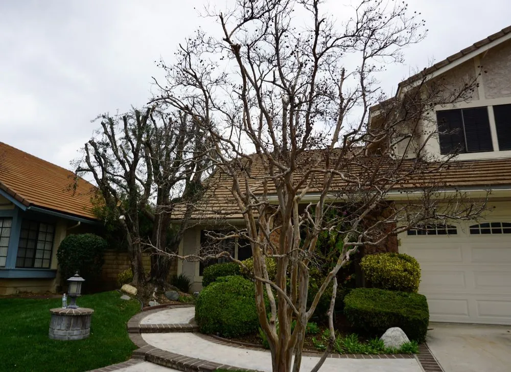 Reliable landscaping services for residential properties in Santa Clarita, CA by Built Green Landscaping