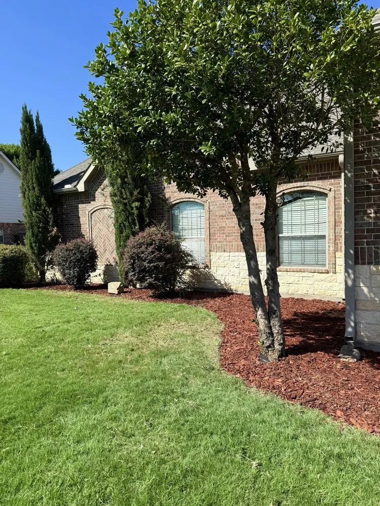 Reliable yard maintenance for homes in Brownwood, TX by Buitron’s Outdoor Solutions