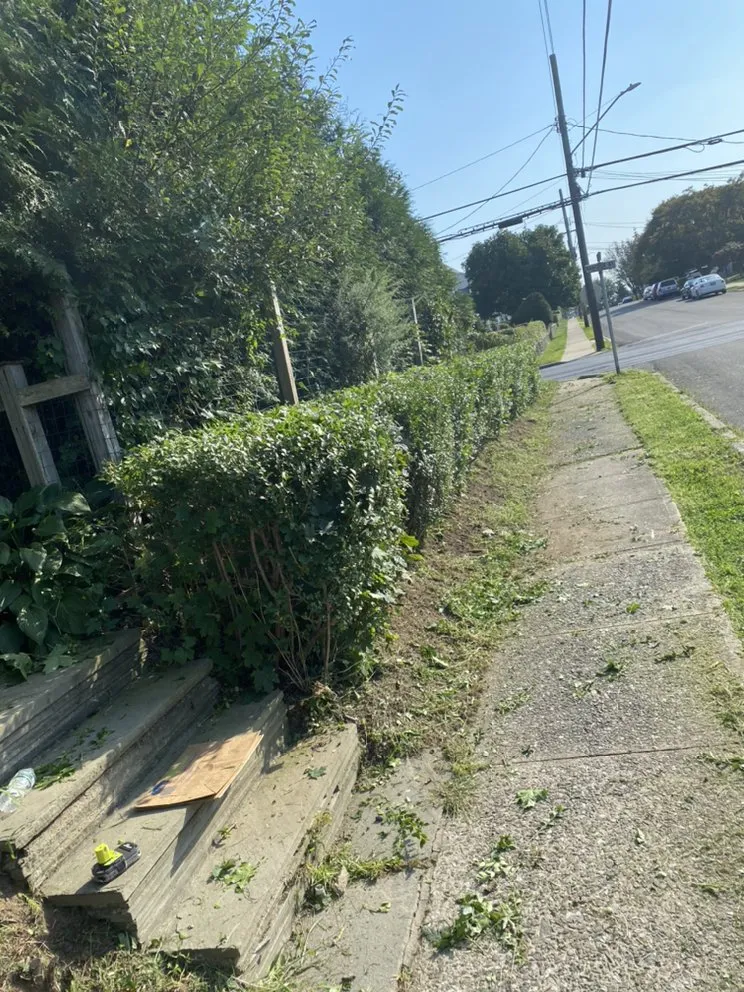 Expert garden landscaping experts serving Cortlandt, NY - Buk's Landscaping