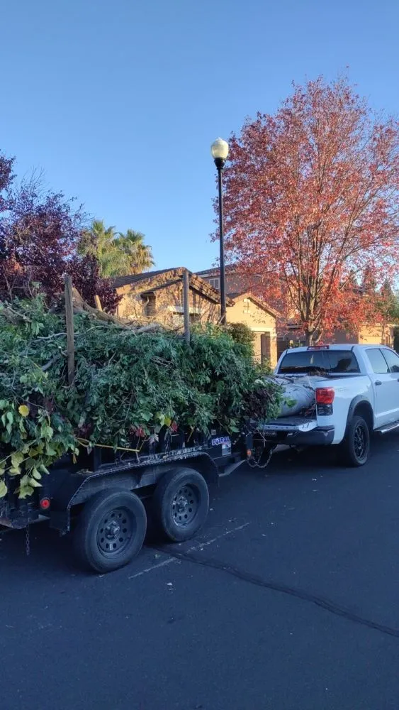 Top-rated outdoor landscaping in Citrus Heights, CA by Bula Landscaping