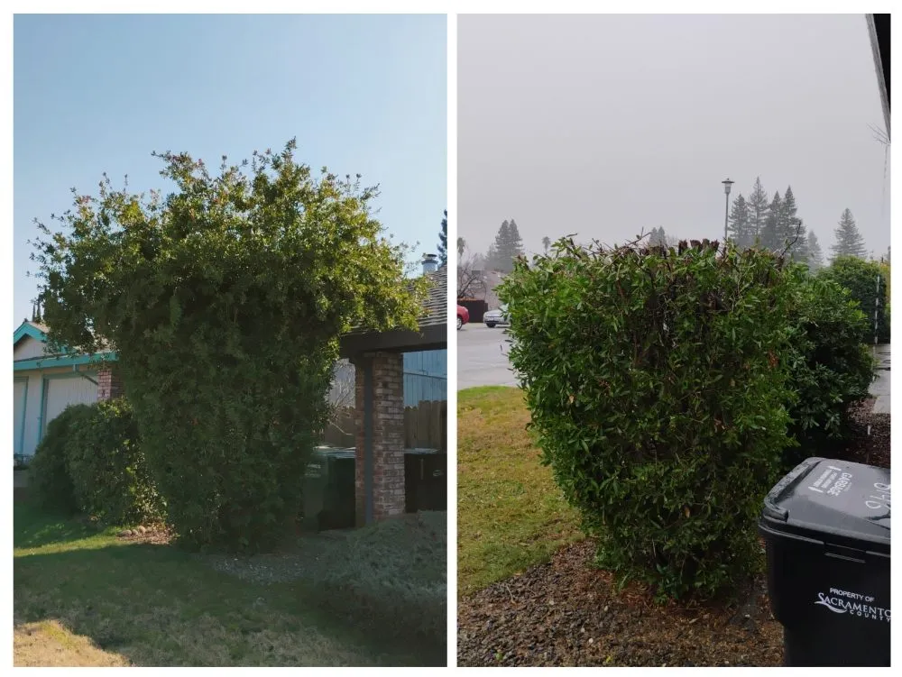 Reliable garden landscaping in Citrus Heights, CA by Bula Landscaping