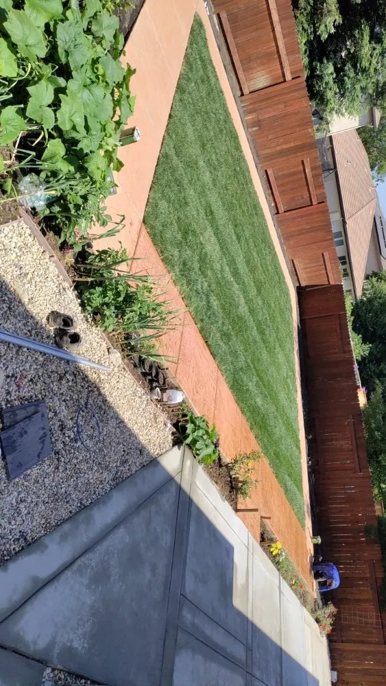 Affordable outdoor landscaping near you in Citrus Heights, CA by Bula Landscaping