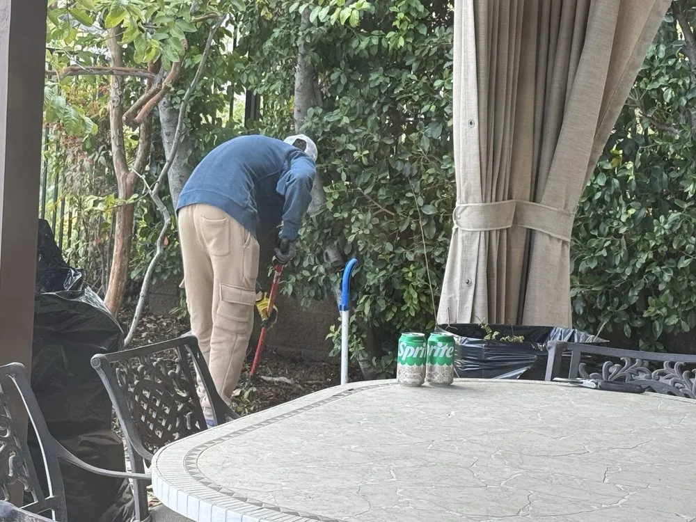 Custom landscape installation for year-round maintenance in Los Angeles, CA by Bulatov Landscaping