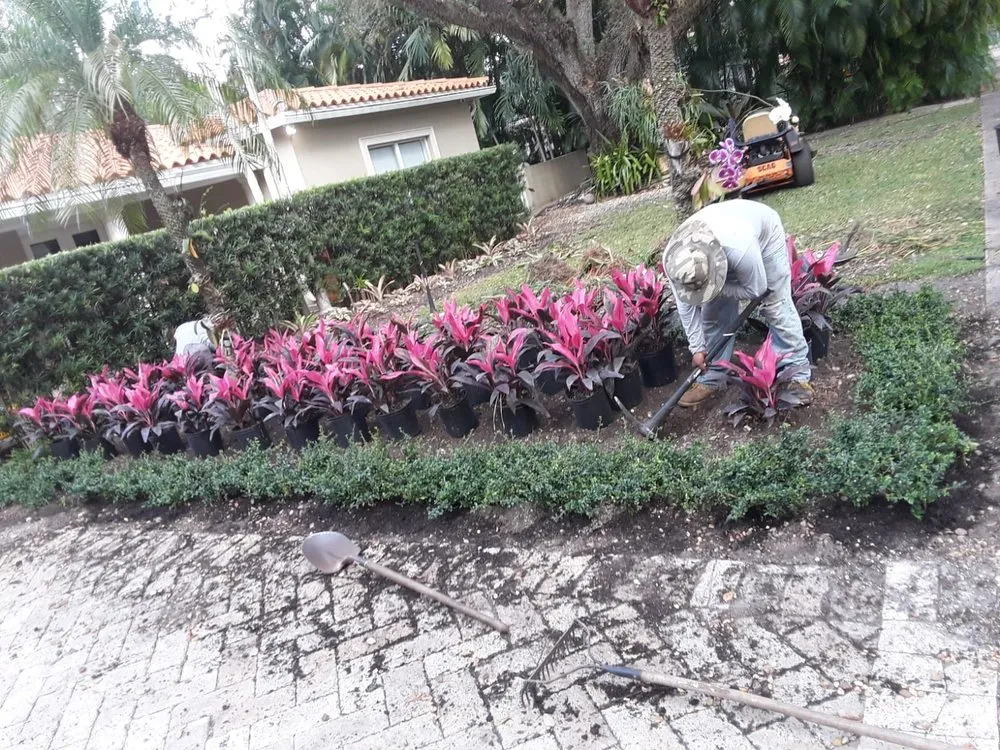 Custom outdoor landscaping in Miami, FL - Bulfrano H Landscaping