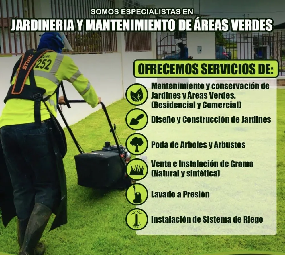 Custom outdoor landscaping in Miami, FL by Bulfrano H Landscaping