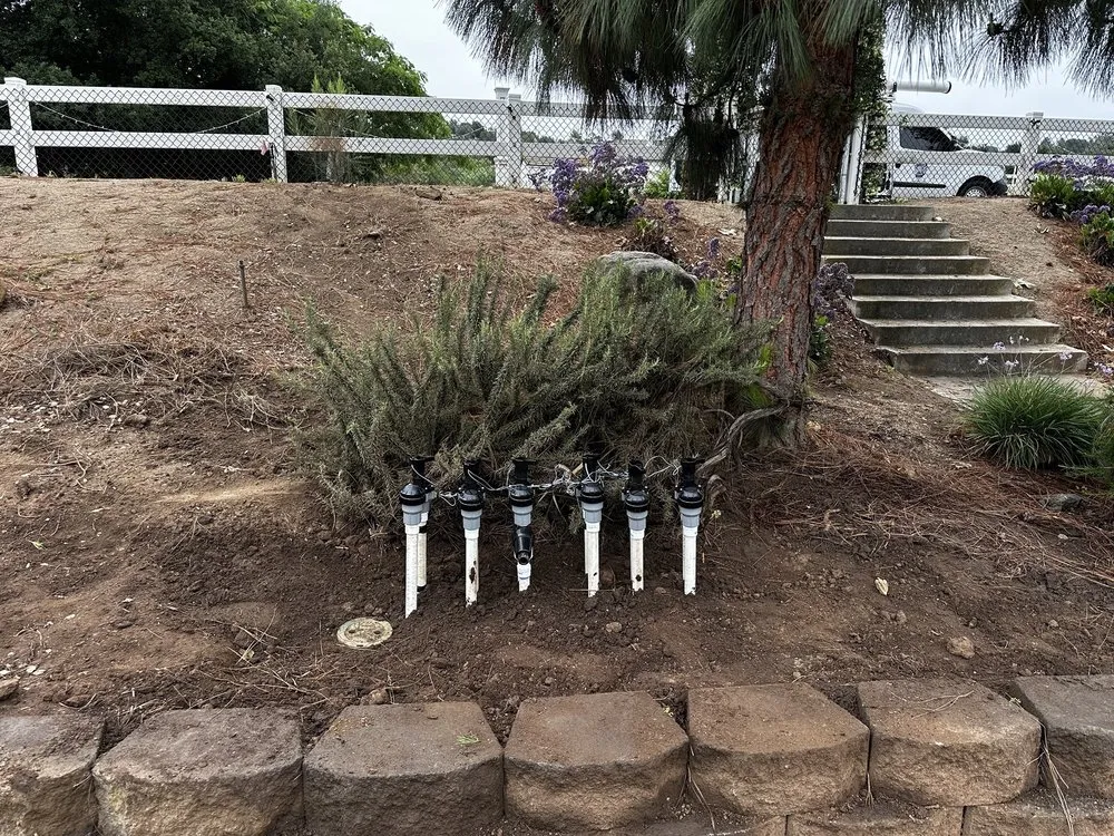 Top-rated landscape installation for outdoor upgrades across El Cajon, CA - Bulkyboys Landscape