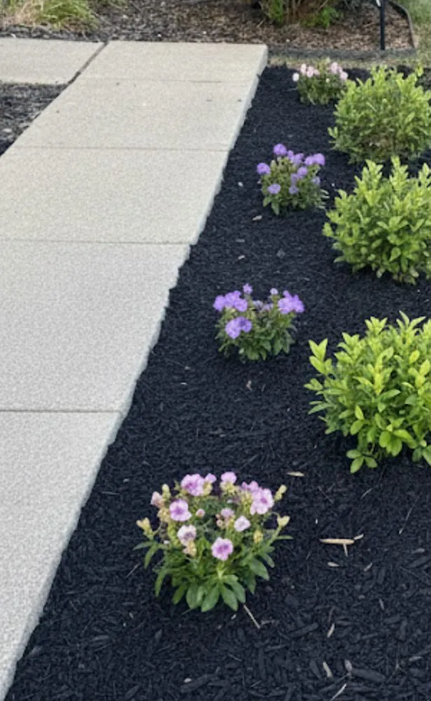 Local residential landscaping in Ann Arbor, MI by Bull & Singh Landscaping