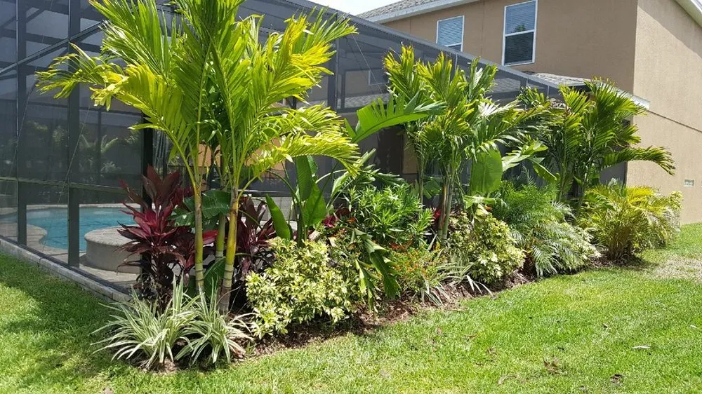 Affordable garden landscaping with custom design across St. Cloud, FL - Bull Bay Nursery