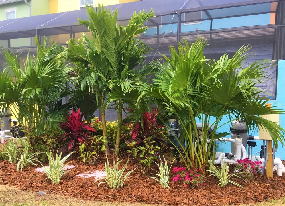 Local outdoor landscaping for residential properties in St. Cloud, FL by Bull Bay Nursery